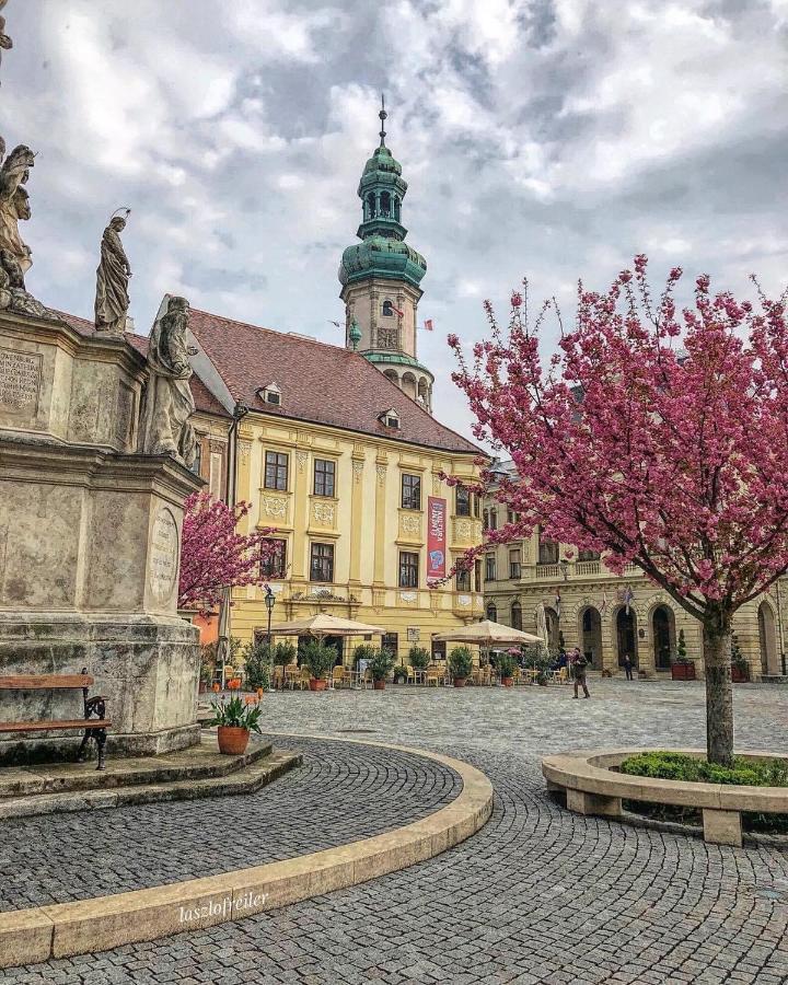 Hotel Szieszta Sopron Exterior photo